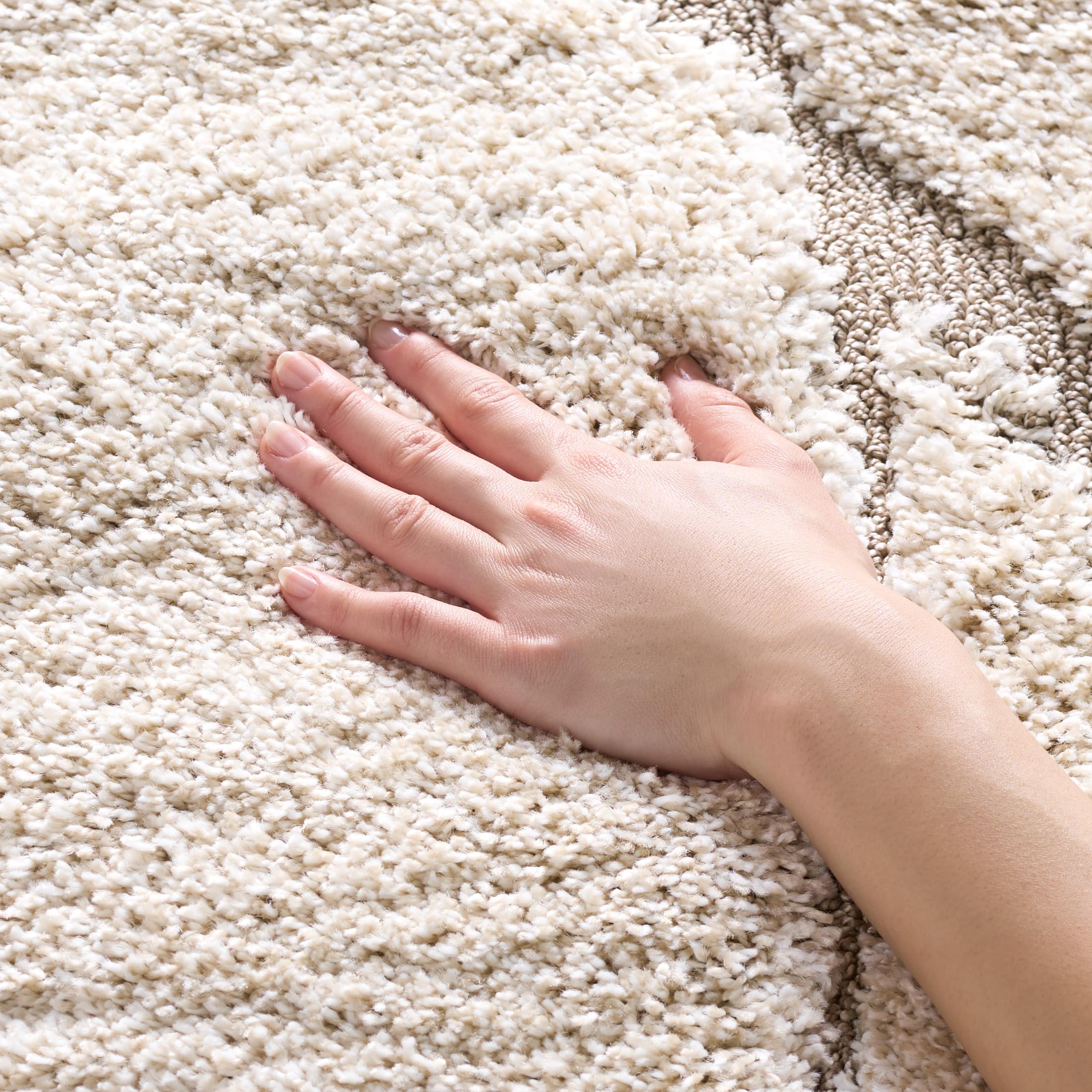SAFAVIEH Florida Shag Collection Area Rug - 5'3" x 7'6", Cream & Beige, Non-Shedding & Easy Care, 1.2-inch Thick Ideal for High Traffic Areas in Living Room, Bedroom (SG471-1113)